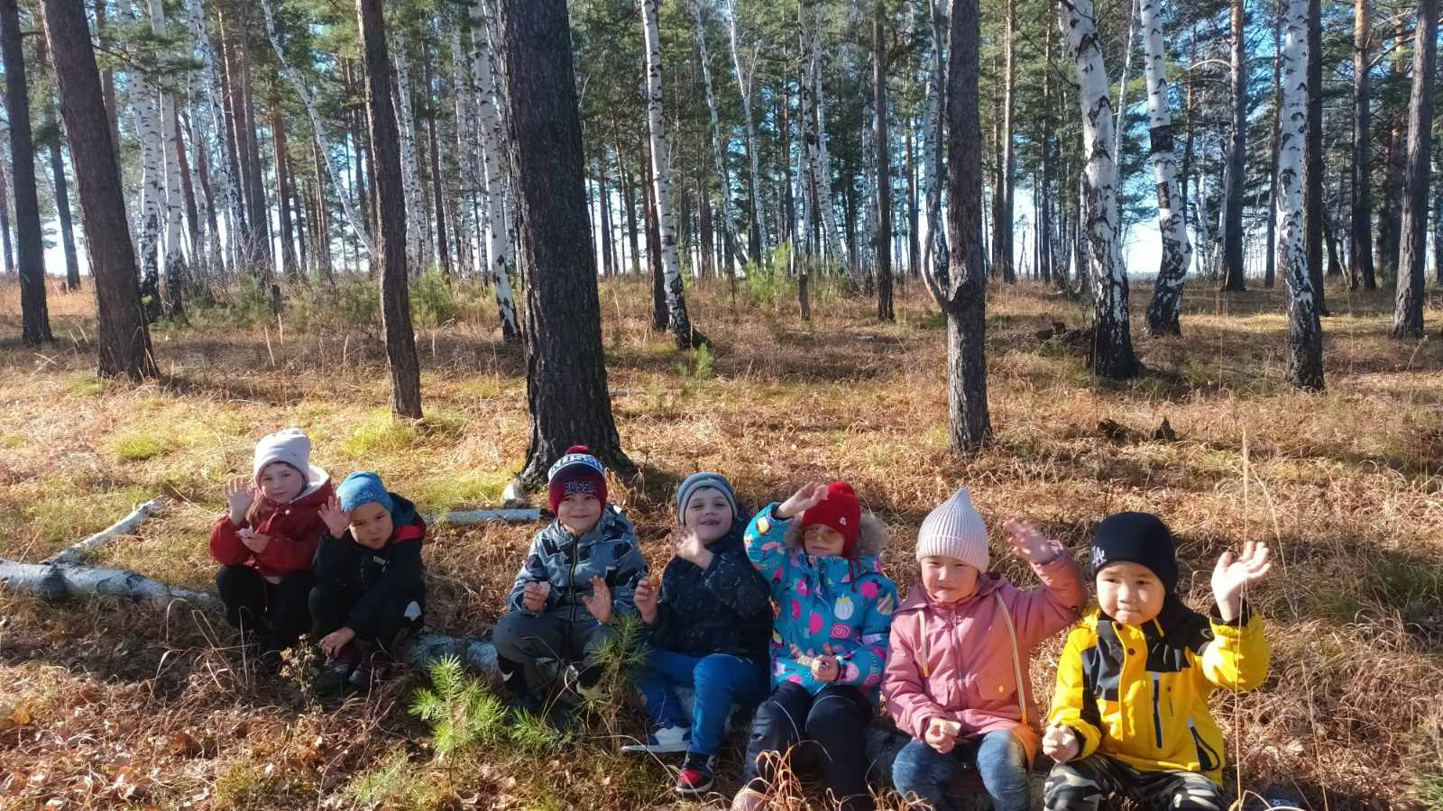 Фотографии и видео.